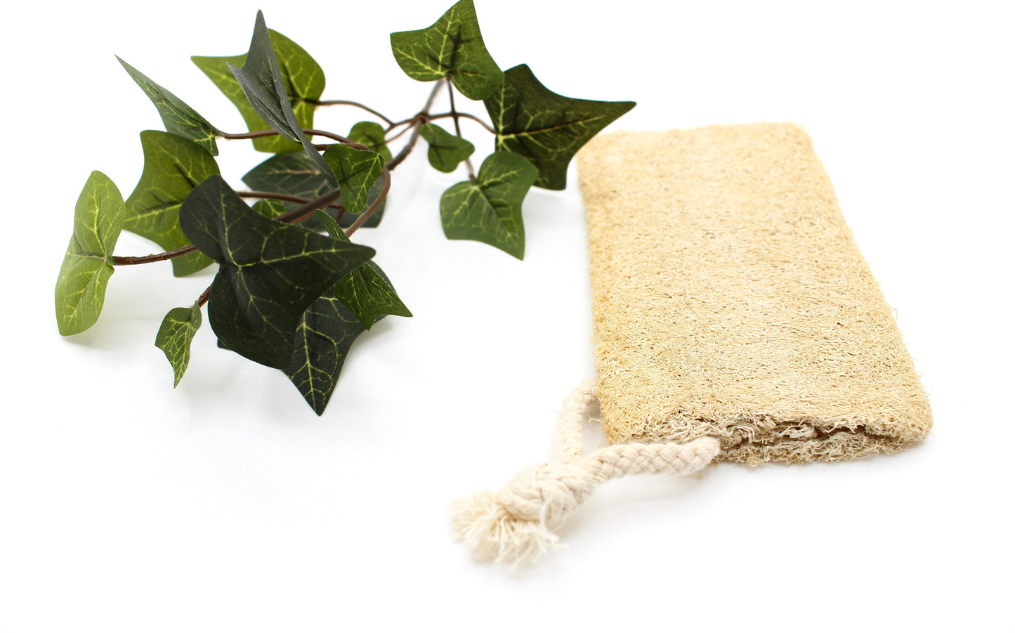 Natural Loofah Sponge