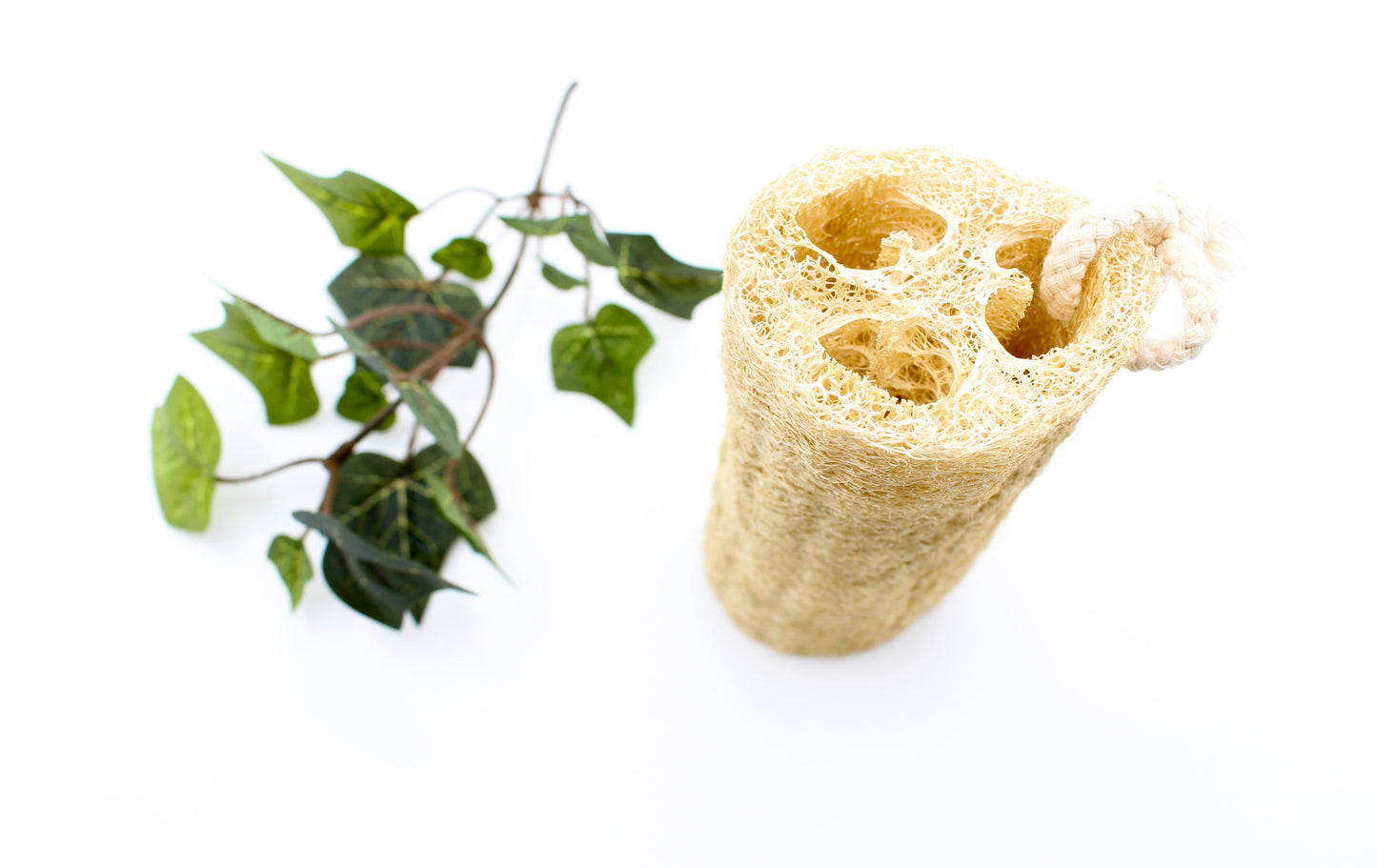 Natural Loofah Sponge