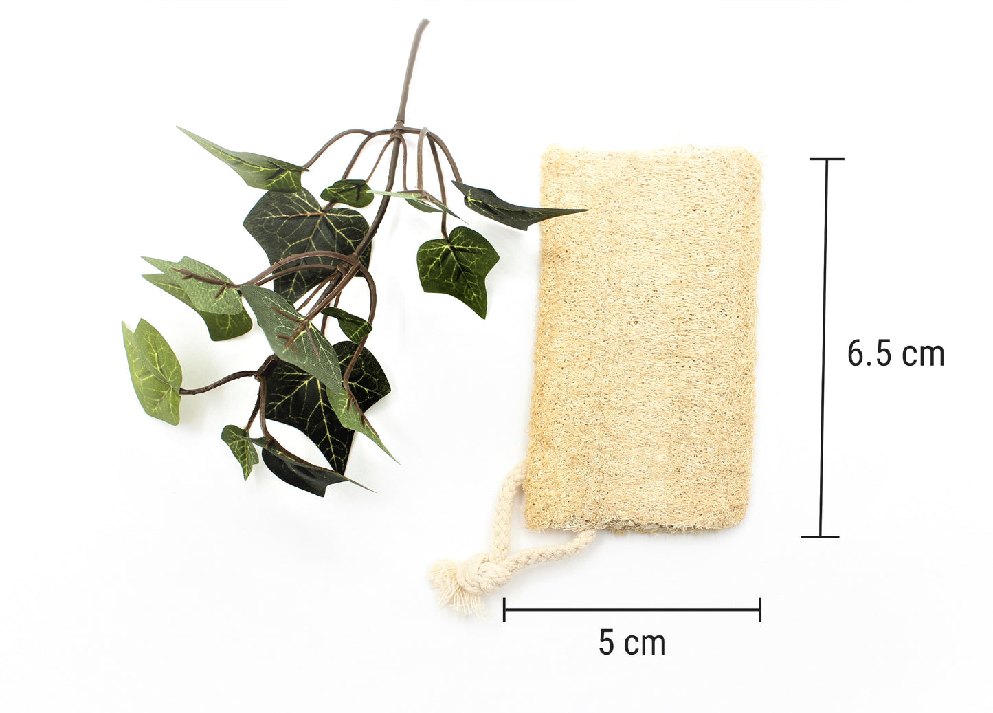 Natural Loofah Sponge