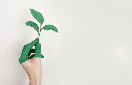 Small Everyday Habits that make a Big Change
